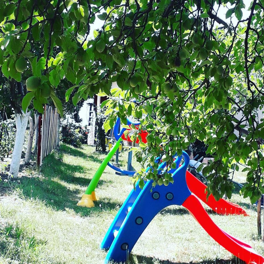 Apartment Noletov Vidikovac Врдник Экстерьер фото
