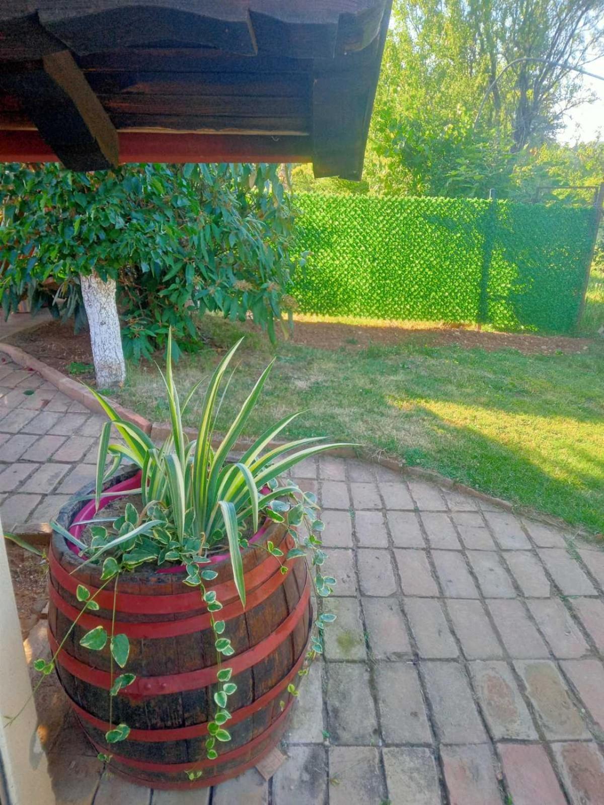 Apartment Noletov Vidikovac Врдник Экстерьер фото