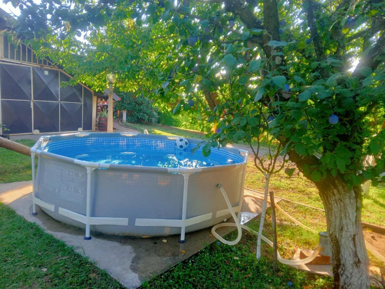 Apartment Noletov Vidikovac Врдник Экстерьер фото